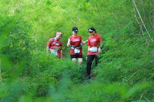 BIB: 
                            <button type="button" onclick="openModal(22096381)" class="btn btn-primary btn-sm float-right btn-popup" data-toggle="modal" data-target=".modal-high-quality">
                        <i class="fas fa-shopping-cart"></i> Add to Cart
                    </button>
                                            <button type="button" onclick="isThisMe(22096381, true)" class="btn btn-success btn-sm float-right btn-popup btn-isme hidden" data-toggle="tooltip" data-placement="bottom" title="นี่คือรูปของคุณใช่ไหม คลิกที่นี่เพื่อเอาเข้าอัลบั้ม">
                        <i class="fas fa-plus"></i> Add to album
                    </button>
                    <button type="button" onclick="isThisMe(22096381, false)" class="btn btn-warning btn-sm float-right btn-popup btn-isnotme hidden">
                        <i class="fas fa-ban"></i> Remove from album
                    </button>